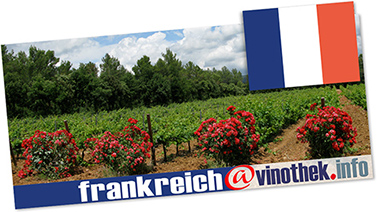 wein regionen und ihre spezialitäten promoten