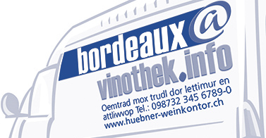 firmenwagenbeschriftung mit werbewirksamer Domain