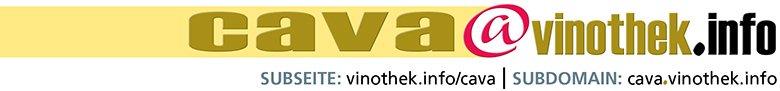 servicedomain mieten